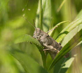 Similar image 966086