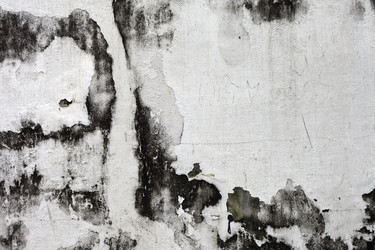 Similar image 966141