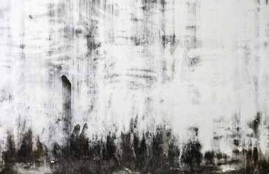 Similar image 966149