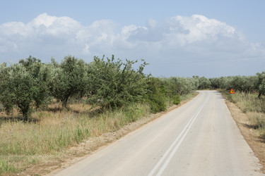 Similar image 966211