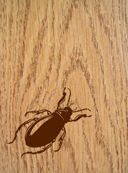 Similar image 966255