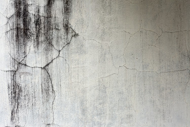 Similar image 966263