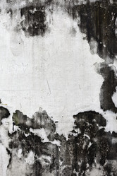 Similar image 966269