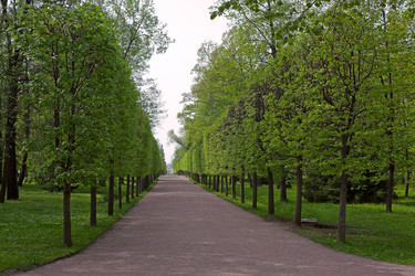 Similar image 966288