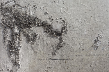 Similar image 966306