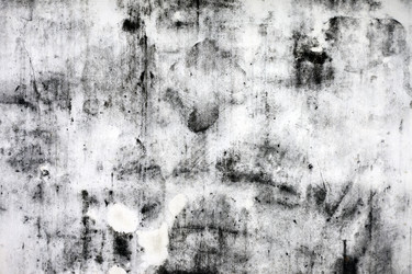 Similar image 966307