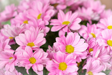 Similar image 966368