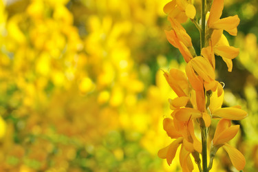 Similar image 966406