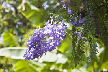 Similar image 966420