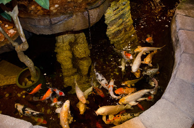 Similar image 966435