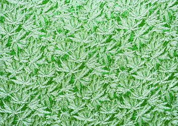 Similar image 966456