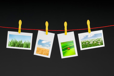 Similar image 966546