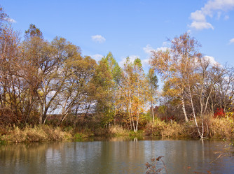 Similar image 966576