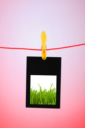 Similar image 966582