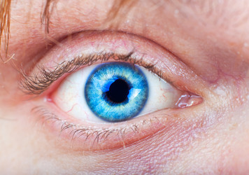 Similar image 966617