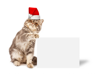 Similar image 966628