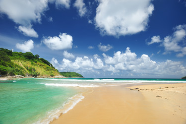 Similar image 966641