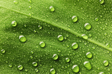 Similar image 966647