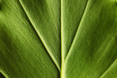 Similar image 966653