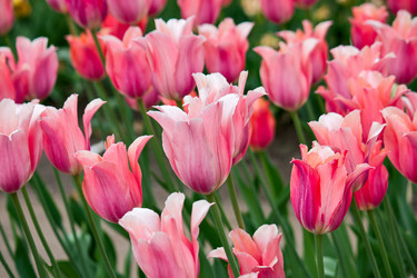 Similar image 966658