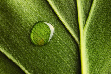 Similar image 966668