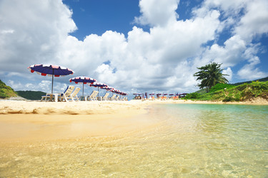 Similar image 966669