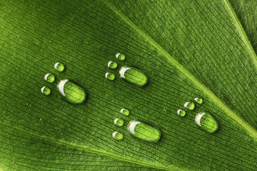 Similar image 966677