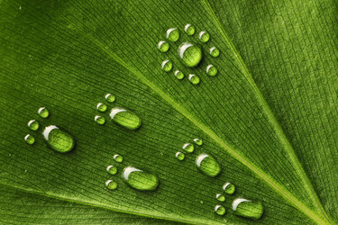 Similar image 966684