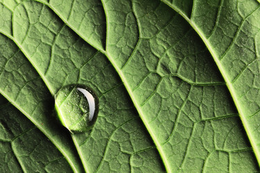 Similar image 966688