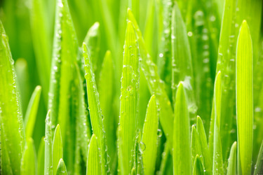 Similar image 966769