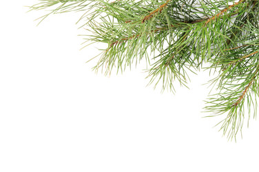 Similar image 966783