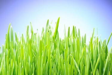 Similar image 966785