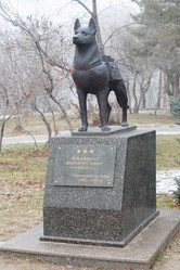 Similar image 966852