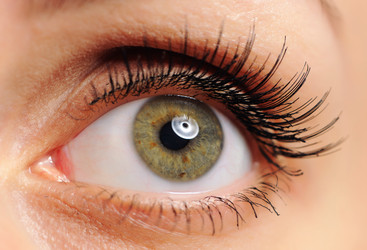 Similar image 966898