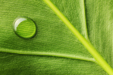 Similar image 966933