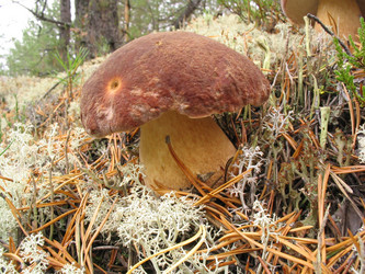 Similar image 966985