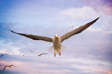 Similar image 967026