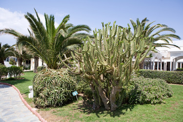 Similar image 967065