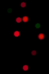 Similar image 967085