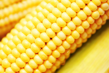 Similar image 967117