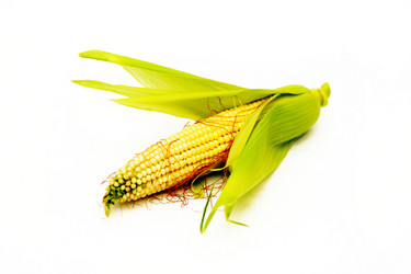 Similar image 967160