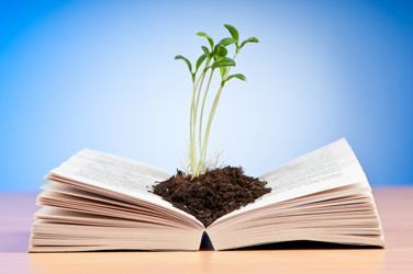 Similar image 967294