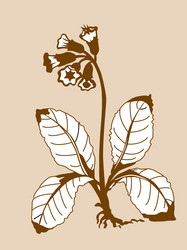 Similar image 967311