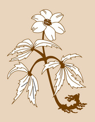 Similar image 967312