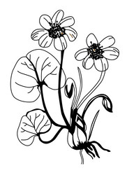 Similar image 967319