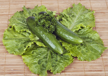 Similar image 967354