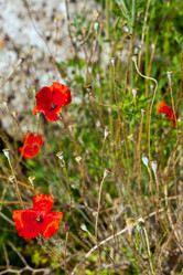 Similar image 967432