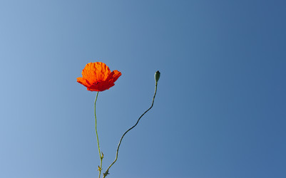 Similar image 967440