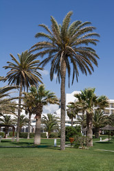 Similar image 967463