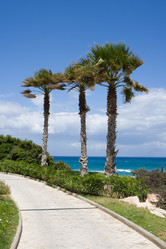 Similar image 967470